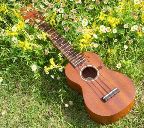 【婚活コラム No.18】ウクレレ婚活論