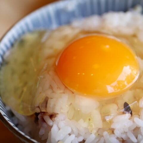 【婚活コラム No.20】卵かけご飯婚活論